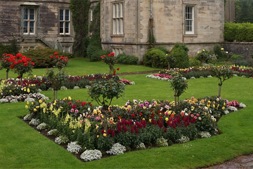 Colourful Garden