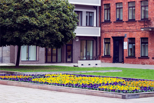 Yard cleanup and debris removal in DFW