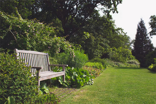 Landscaping details in Grand Prairie TX